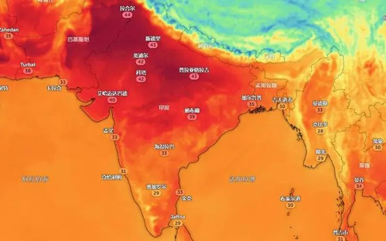 印度“沸腾”了，近50 ℃高温蚊子都热走了，已接近人类生存极限？